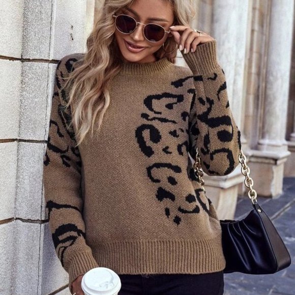 Brown Graphic Pattern Pullover Sweater - Picture 2 of 5